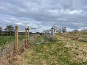 Photo 2- click for photo gallery